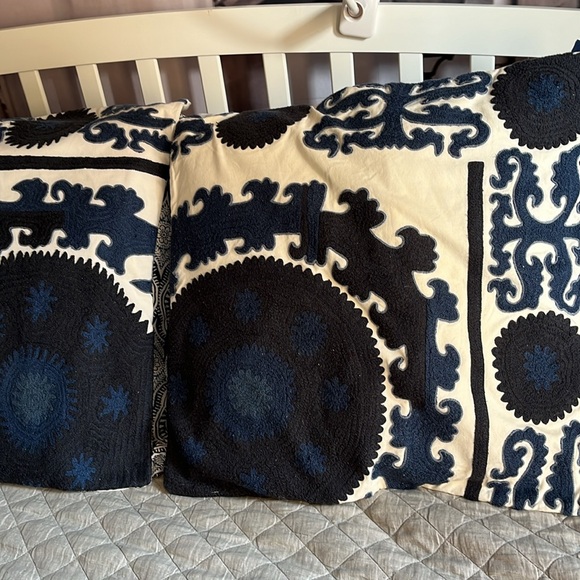 Pottery Barn Euro shams - Picture 2 of 6